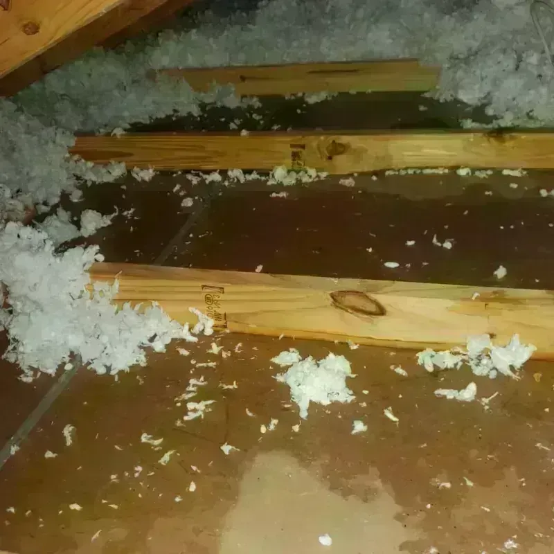 Attic Water Damage in Mabank, TX